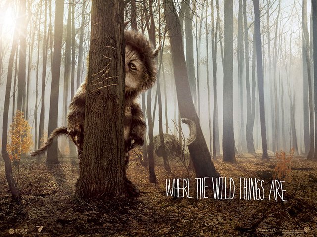 rsz_wtwta_wp2_1024x768