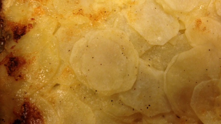 scallopotato