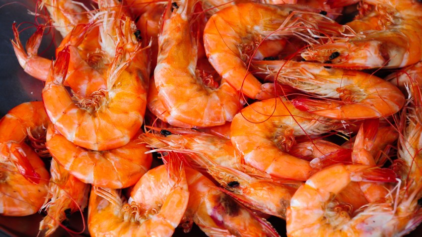 shrimp-shutterstock_89057512