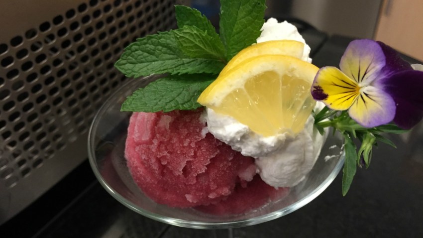 sorbet recipe 1200