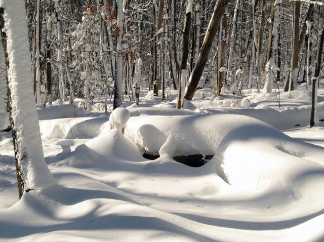 storrs snow