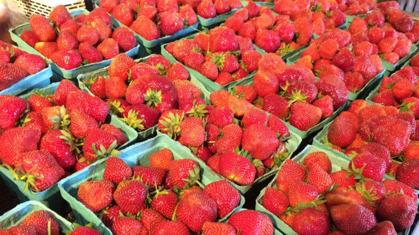 strawberries lyman orchards 1200