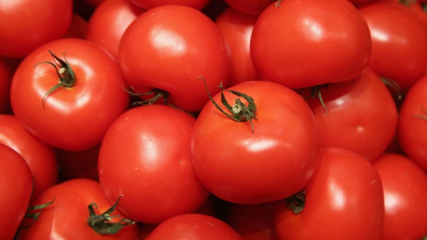tomato generic