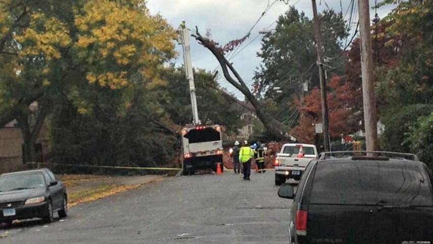tree on wires_bridgeport