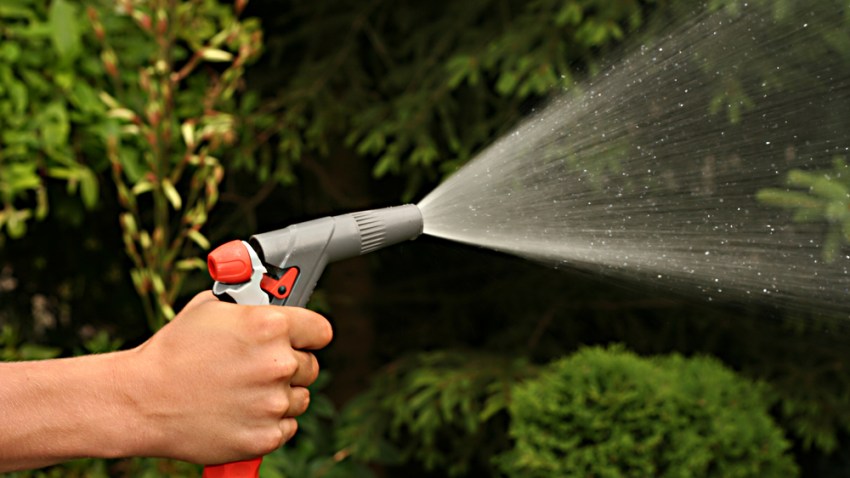 tree watering