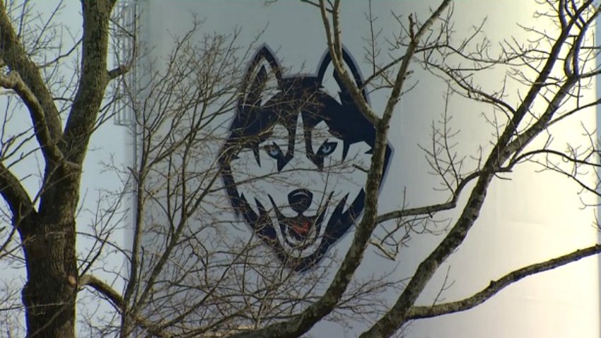 uconn mascot