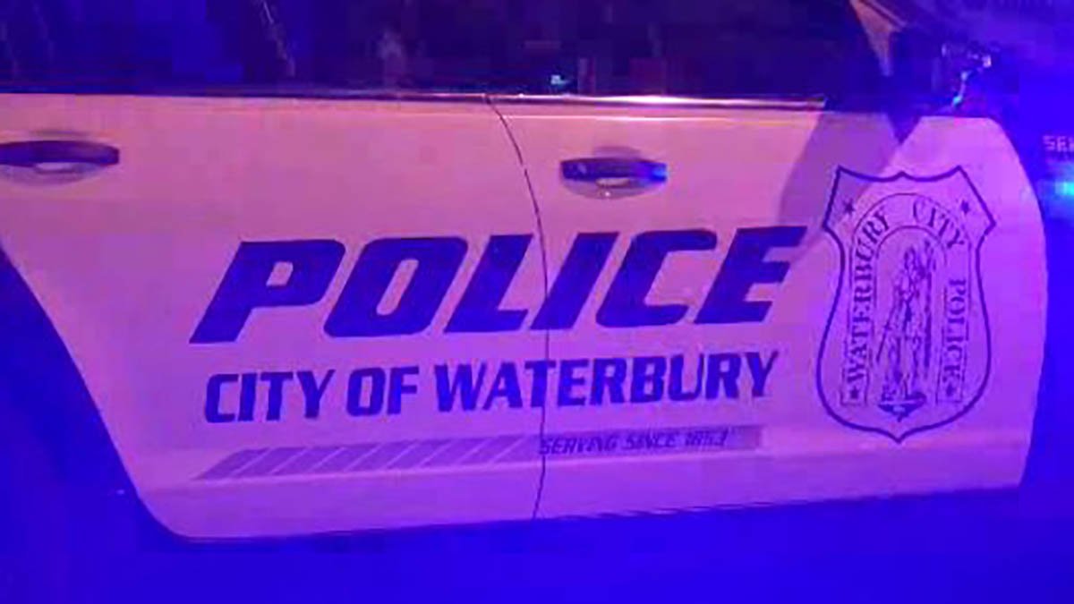Two arrested after hitting police cruiser with a stolen vehicle in ...