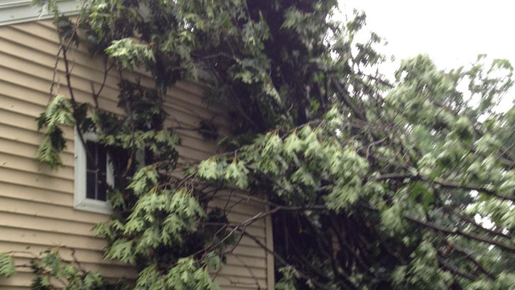 windsor locks tree on house