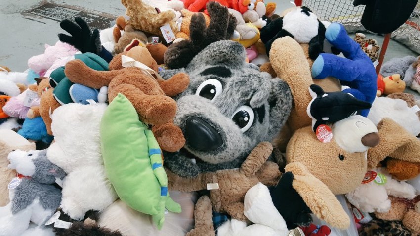 wolf pack teddy bear toss