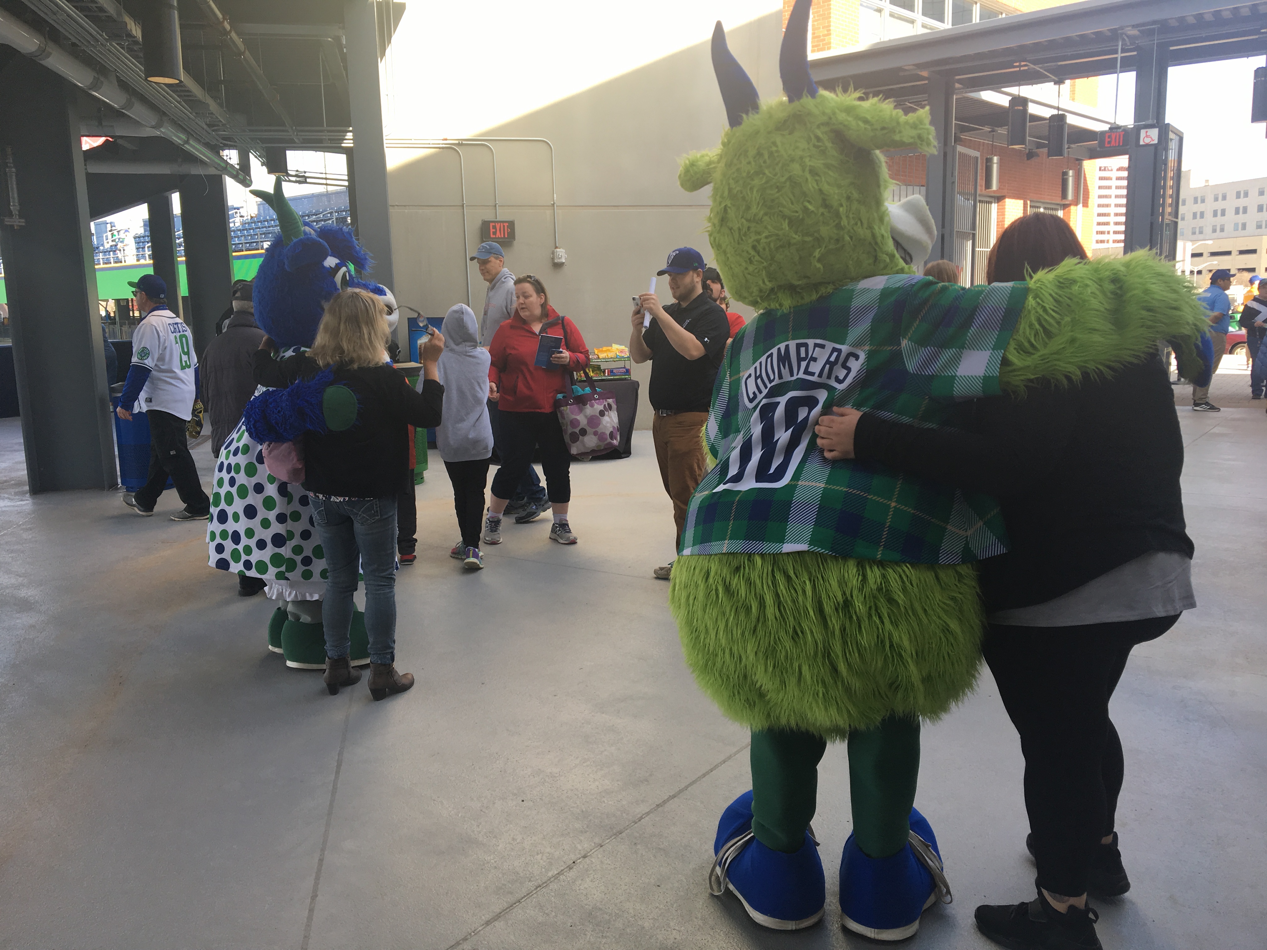 Yard Goats 'bounce' onto nominee list at inaugural MiLB Awards Show – NBC  Connecticut