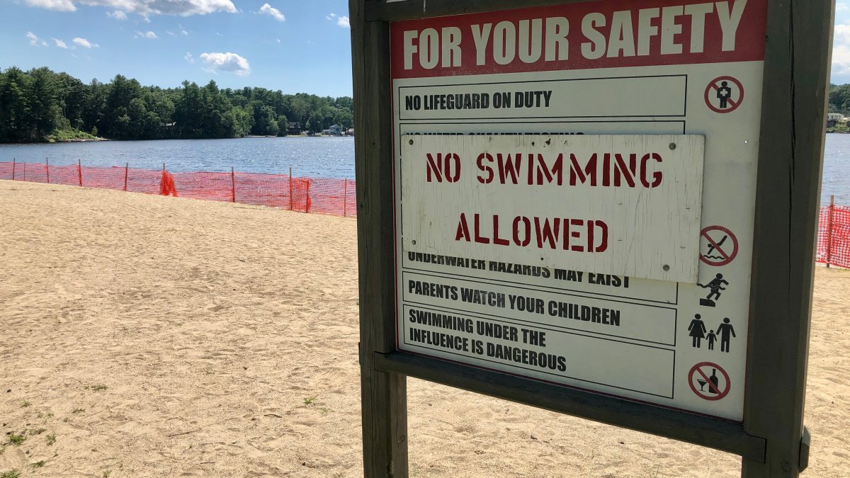 Swim Area at Quaddick State Park in Thompson Closed – NBC Connecticut