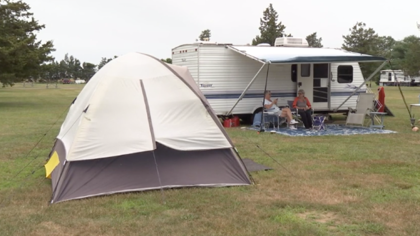 are dogs allowed at hammonasset campground