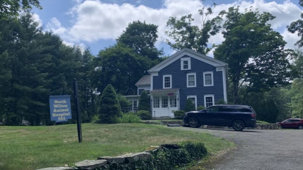 Veterinarian Says Program Designed to Help Businesses Like Hers Came Up