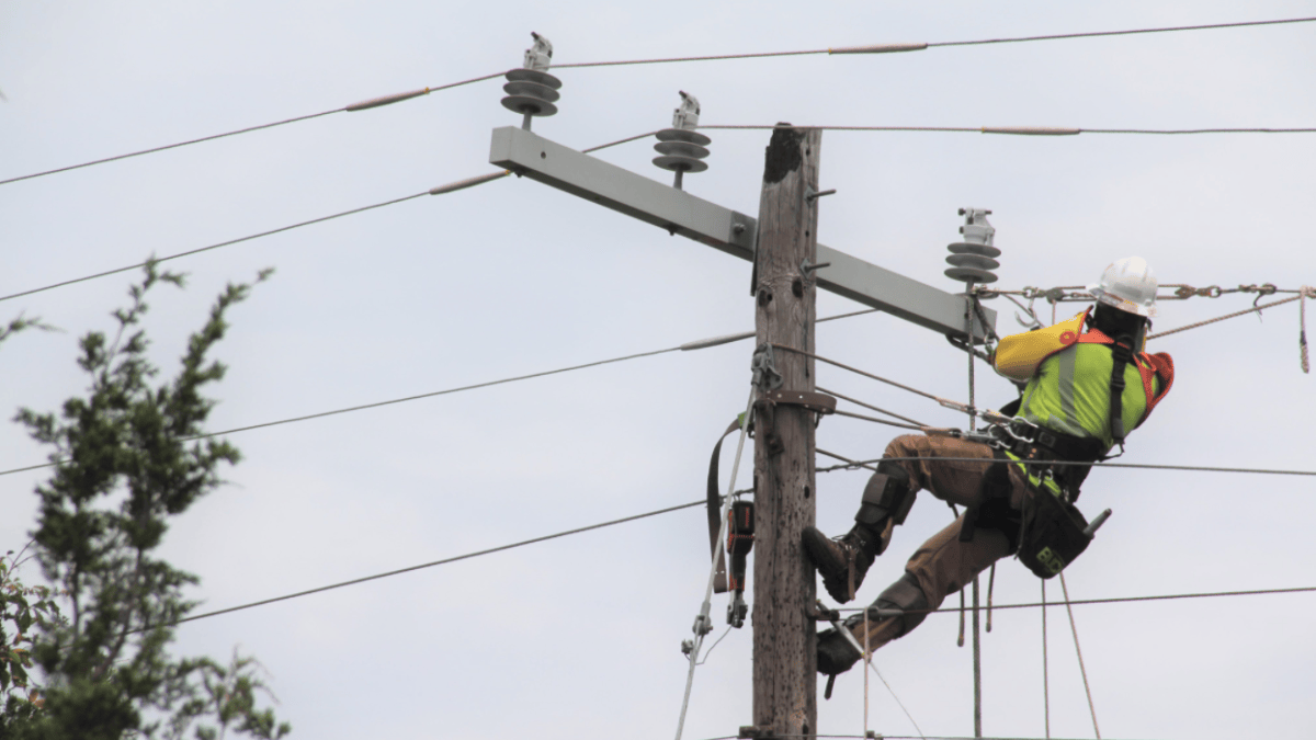 Face the Facts: Discussing the relationship between power companies and PURA - Vimarsana News