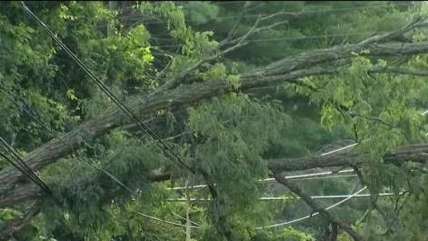 Face the Facts: Tropical Storm Isaias Rips Through Conn.