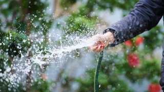 Person using a garden hose