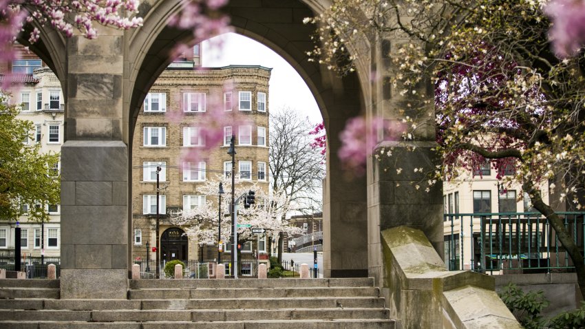 Boston University's campus