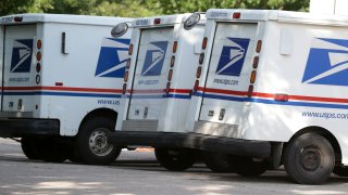 USPS trucks parked in a line in the shade.