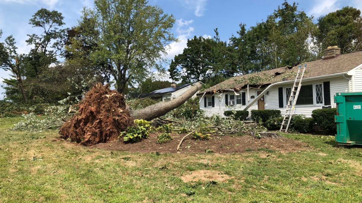 Hamden Cleaning Up After Tornado Touches Down – NBC Connecticut