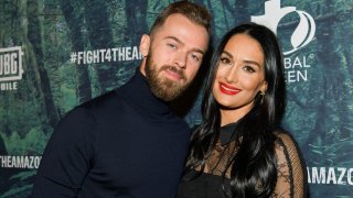 In this Dec. 9, 2019, file photo, Artem Chigvintsev (L) and Nikki Bella attend the PUBG Mobile's #FIGHT4THEAMAZON Event at Avalon Hollywood in Los Angeles, California.