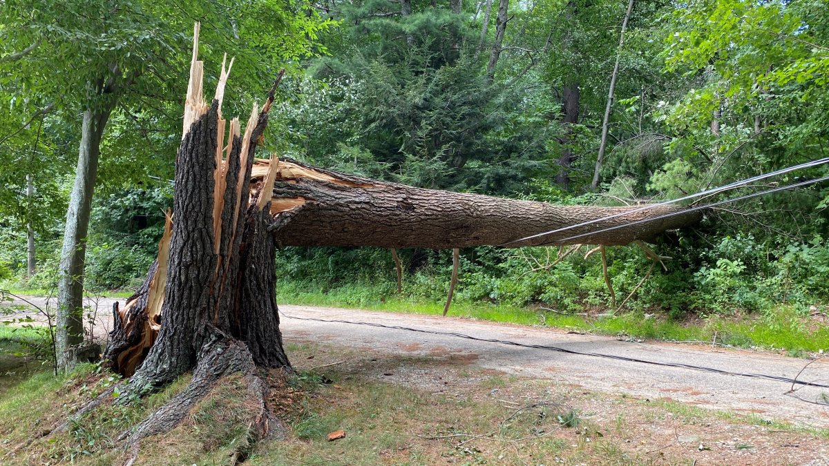 Clean-up Continues in Woodstock, Majority of Town Still in the Dark ...