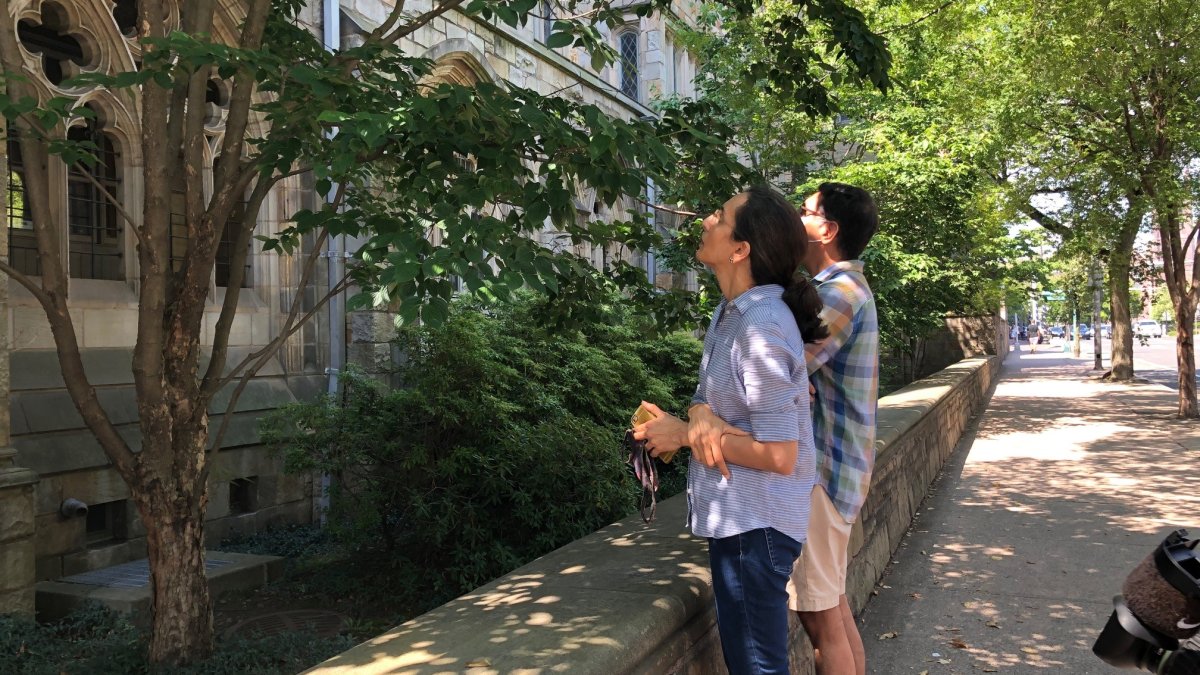 Yale Parents, Students Have Much Different MoveIn Day NBC Connecticut