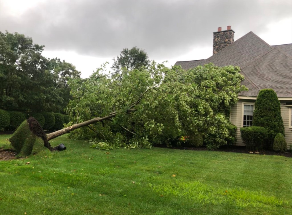 [UGCHAR-CJ] Tree fell into house