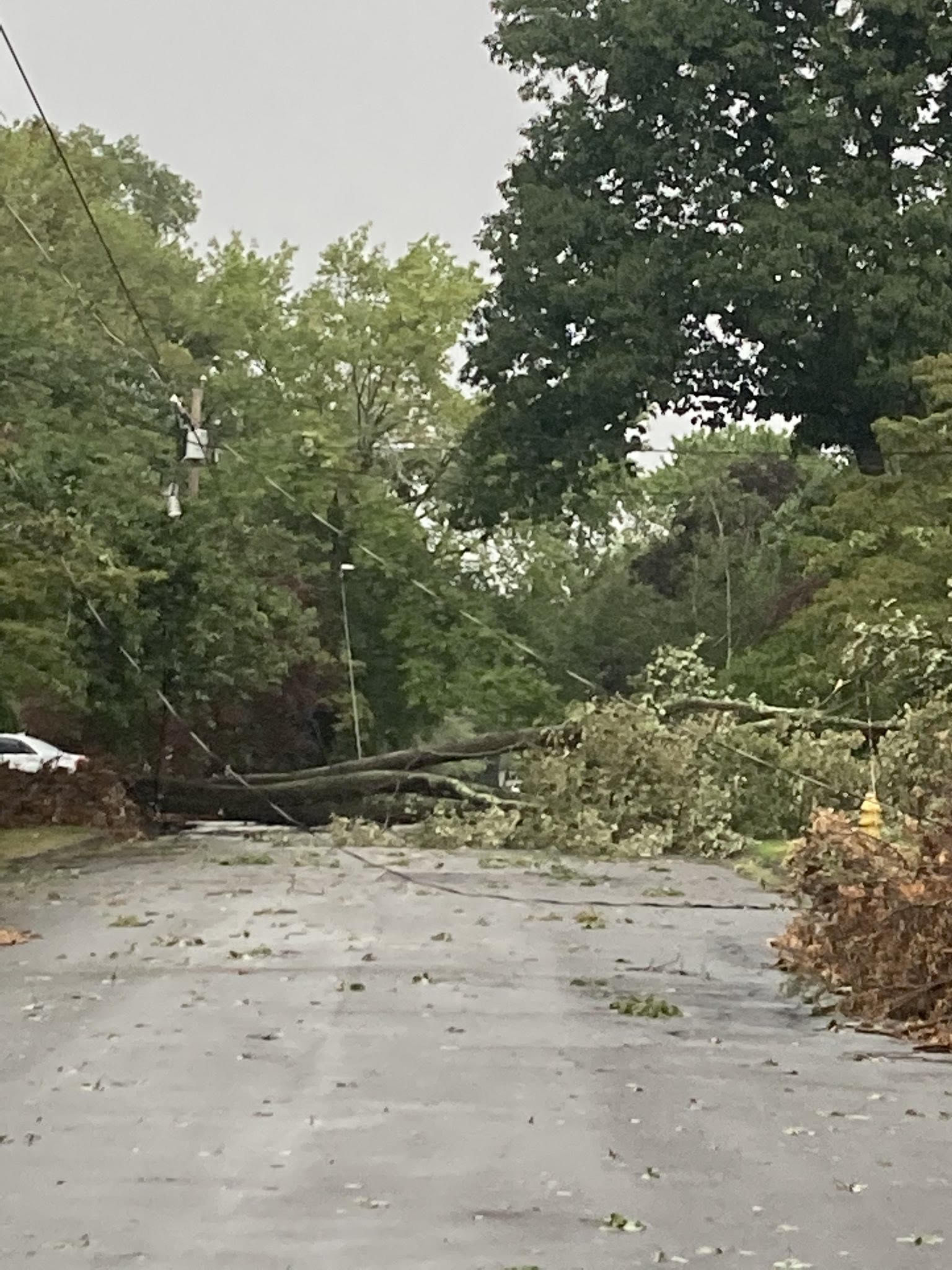 PHOTOS Severe Storms Move Through Connecticut NBC Connecticut