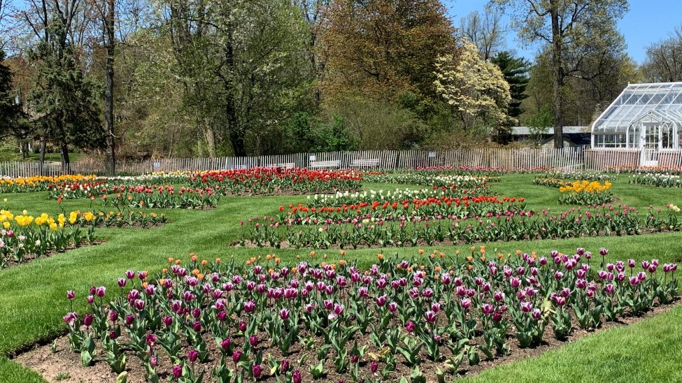 Here’s Your Guide to Spring 2021 in Connecticut – NBC Connecticut