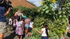 Hamden Community Center's Garden Feeds Food Pantry