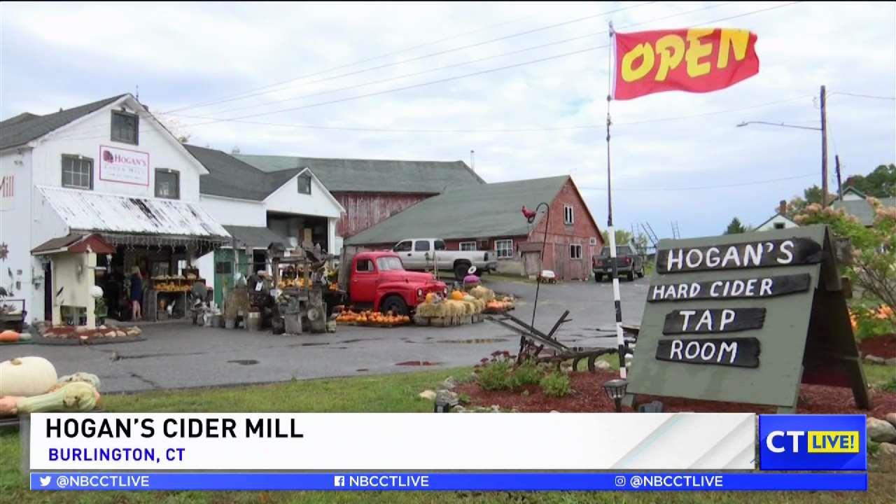 CT LIVE! Hogan’s Cider Mill NBC Connecticut