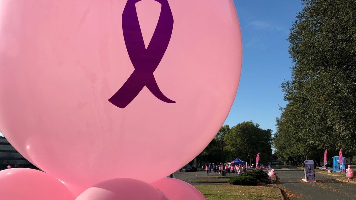 Making Strides Hosts Drive-Thru for Breast Cancer Research ...