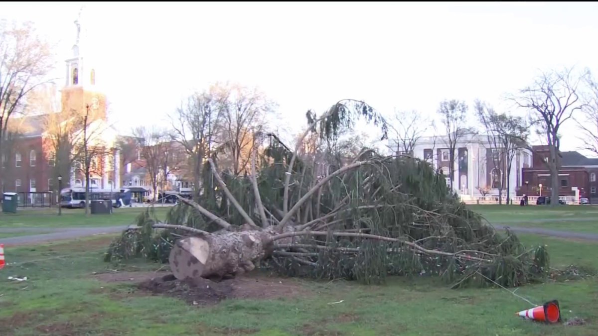 Storms Topple Trees and Knock Out Power – NBC Connecticut