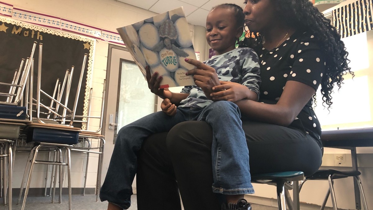 Pbc library live homework help