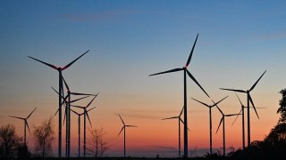 Here’s Why 401(K) Plans Lag in Green Investment Options