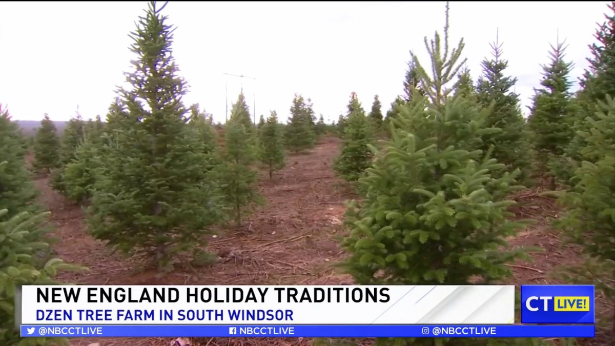 CT LIVE! Dzen Tree Farm NBC Connecticut