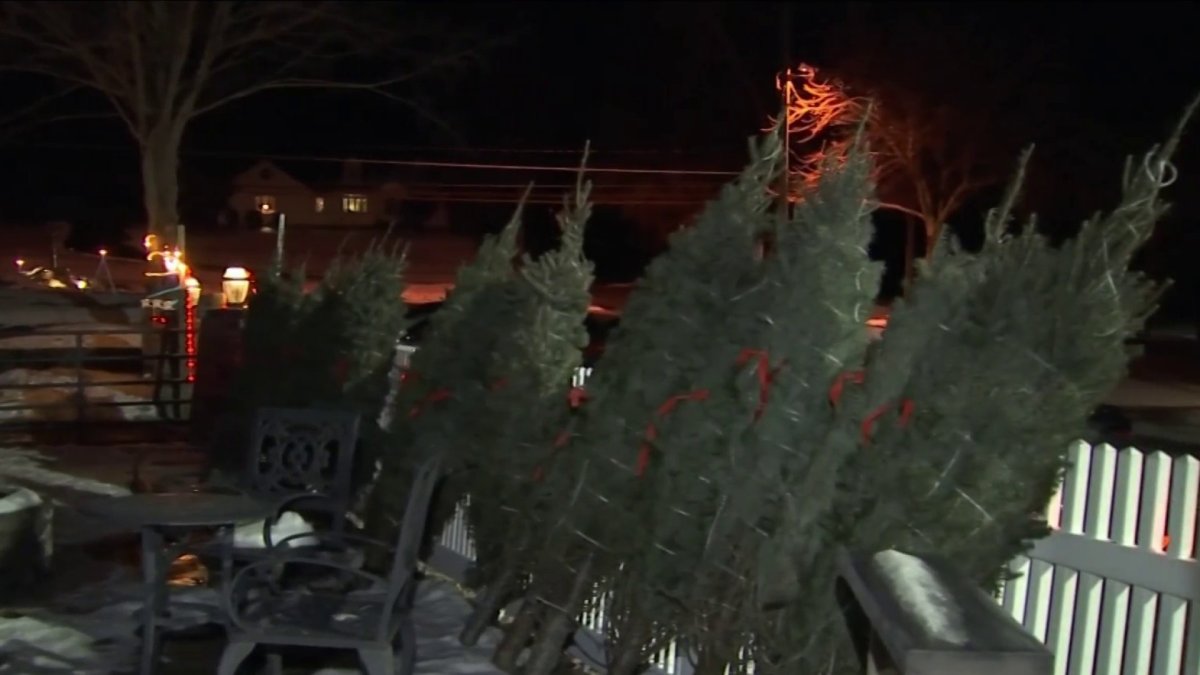 Army Veterans Donates Christmas Trees for Veterans, First Responders
