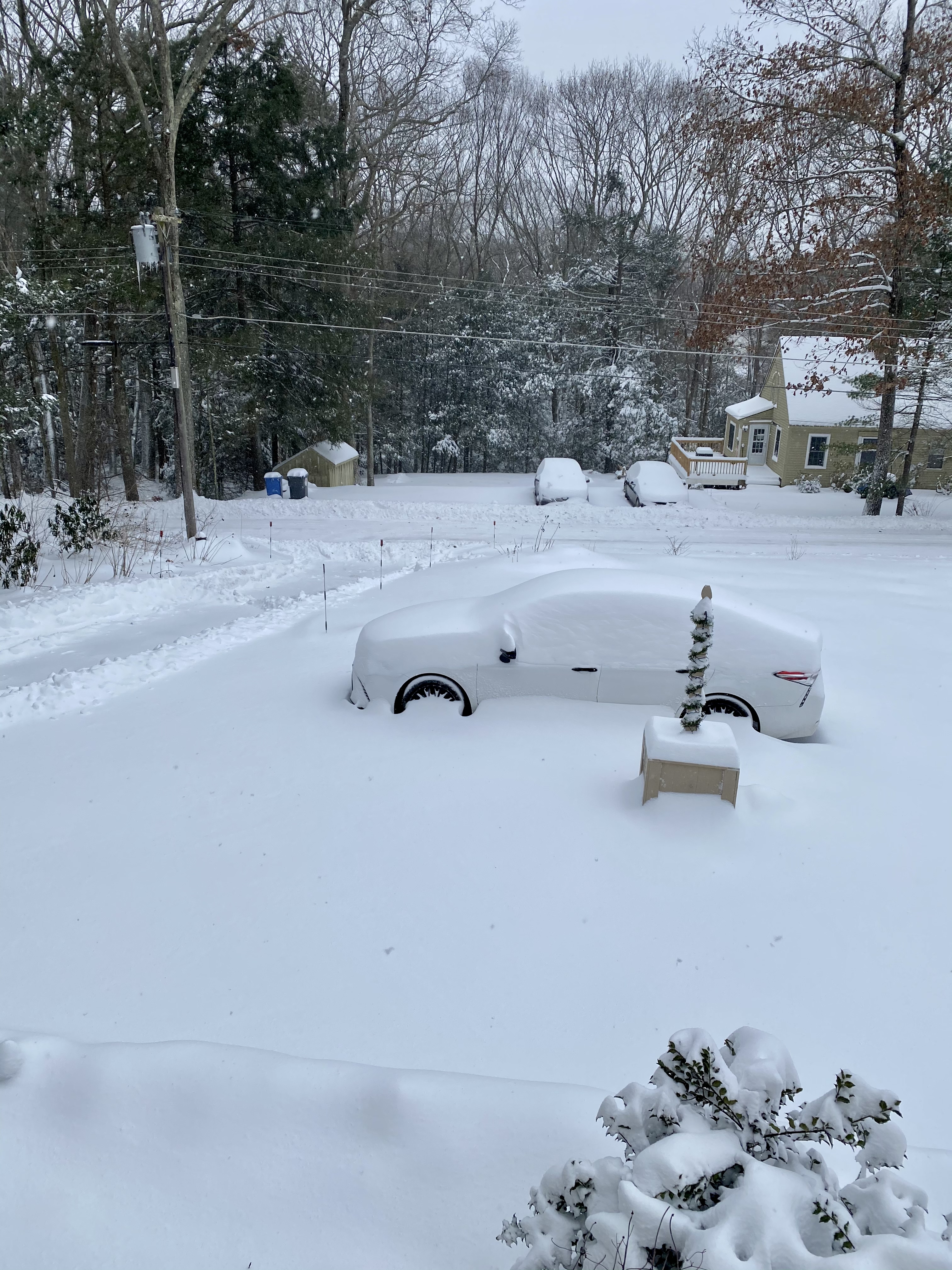 Notre allée ce matin à Woodstock Valley