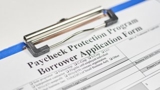 Application form. Paycheck Protection Program Borrower Application Form