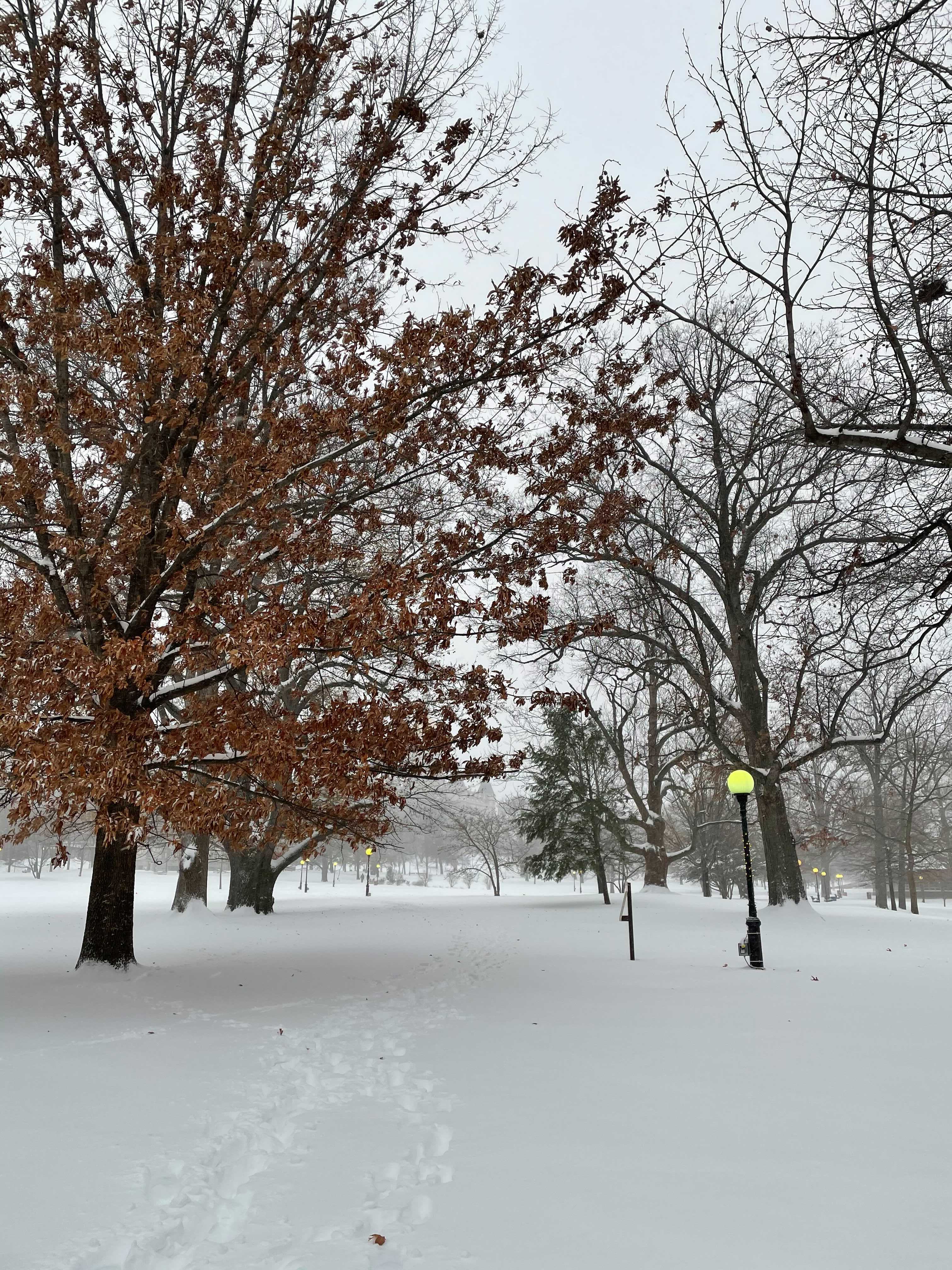 Uno sguardo al Bushnell Park il 17 dicembre