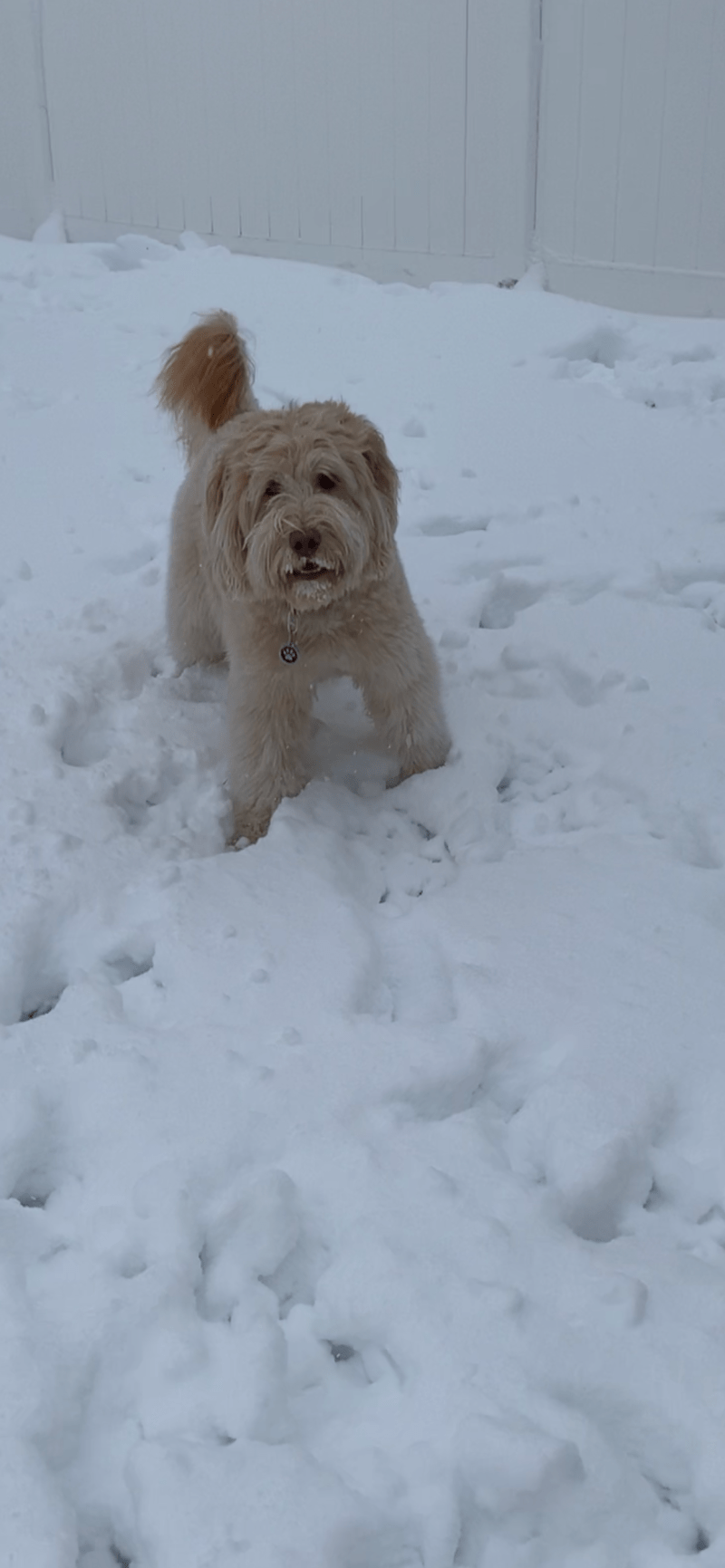 Jour de neige !