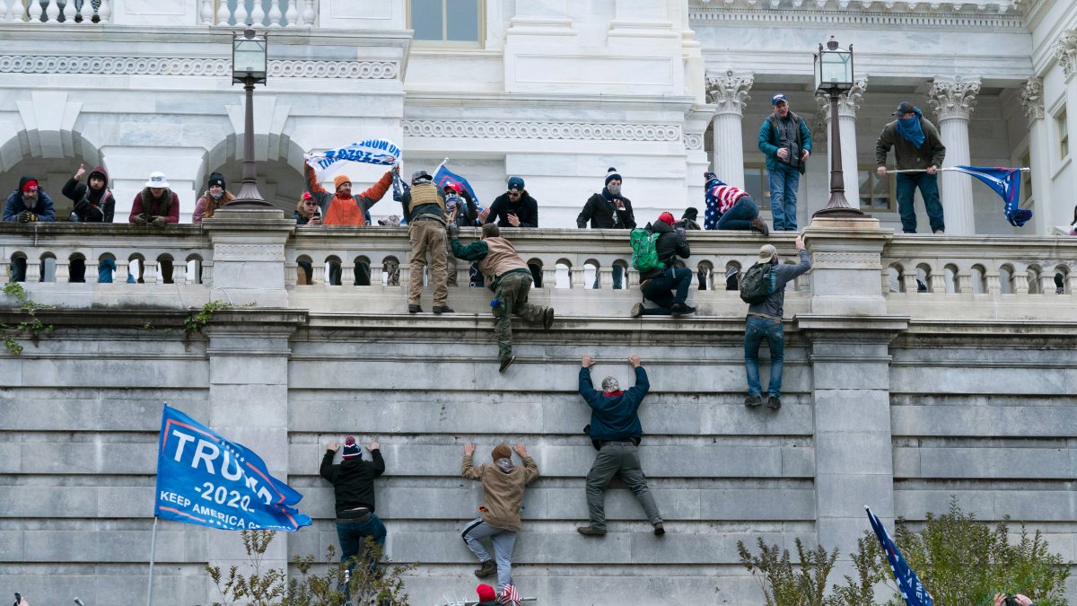 Accused Capitol Rioter Ordered Back to Jail After DWI Arrest, Rifle Discovered in Car - Vimarsana News
