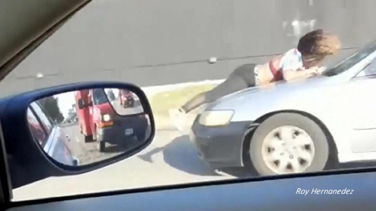 Wild Ride: Woman Clings To Speeding Car As Thieves Take $10,000 Puppy - Vimarsana News
