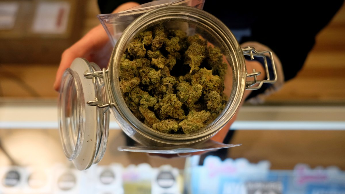 Recreational Cannabis Sales to Begin in Conn. – NBC Connecticut - Vimarsana News