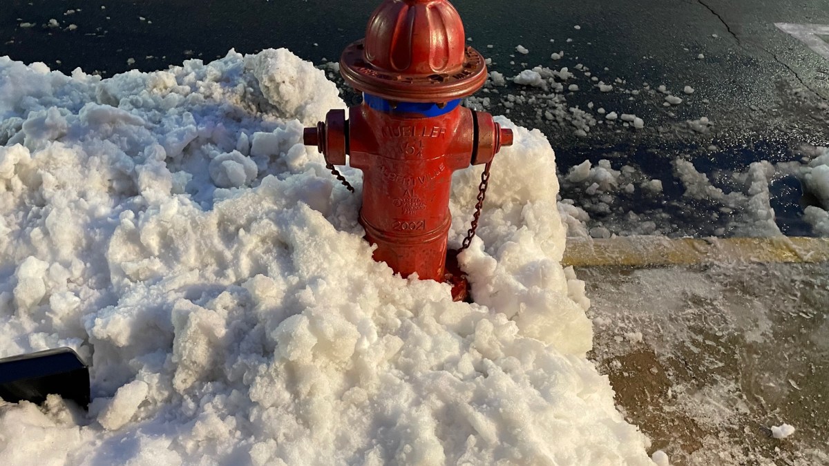 Firefighters Urge Residents to Clear Fire Hydrants - Vimarsana News