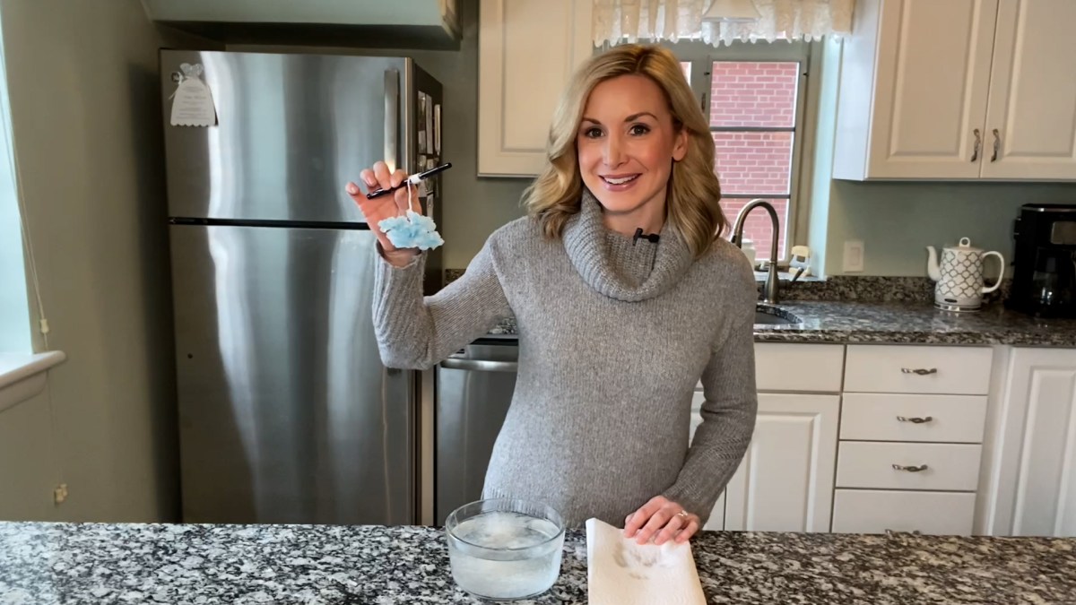 Kids Connection: Fun With Science – Create a Crystal Snowflake - Vimarsana News