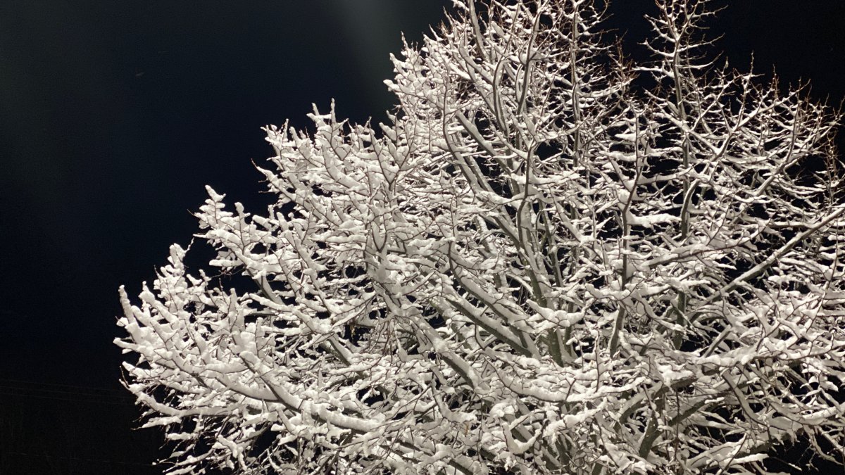 Parts of state get up to 2 inches of snow on first full day of spring ...