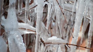 icicles