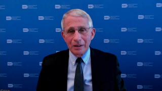 Dr. Anthony Fauci gives an update on the COVID-19 pandemic through a video call