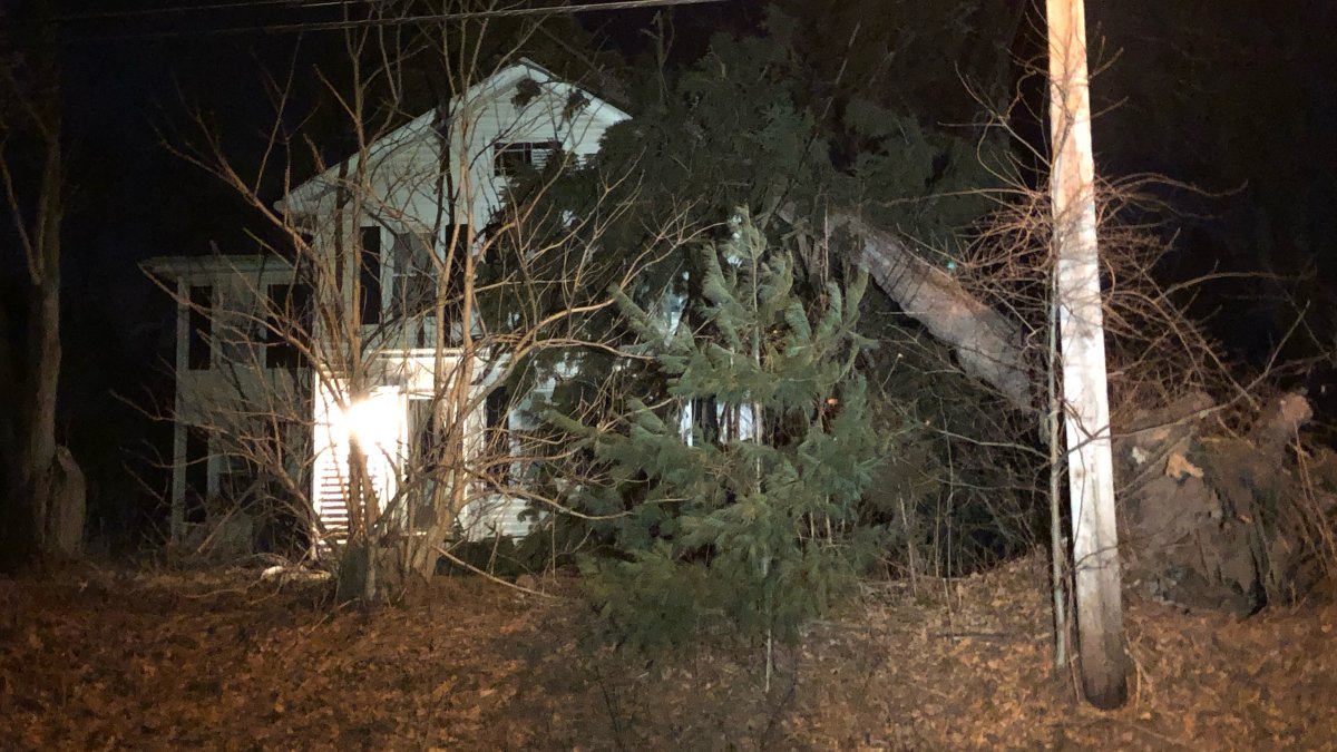 Tree Falls on House in Hamden NBC Connecticut